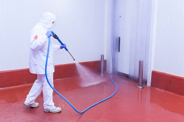 Best Patio and Deck Pressure Washing  in Deer Park, OH